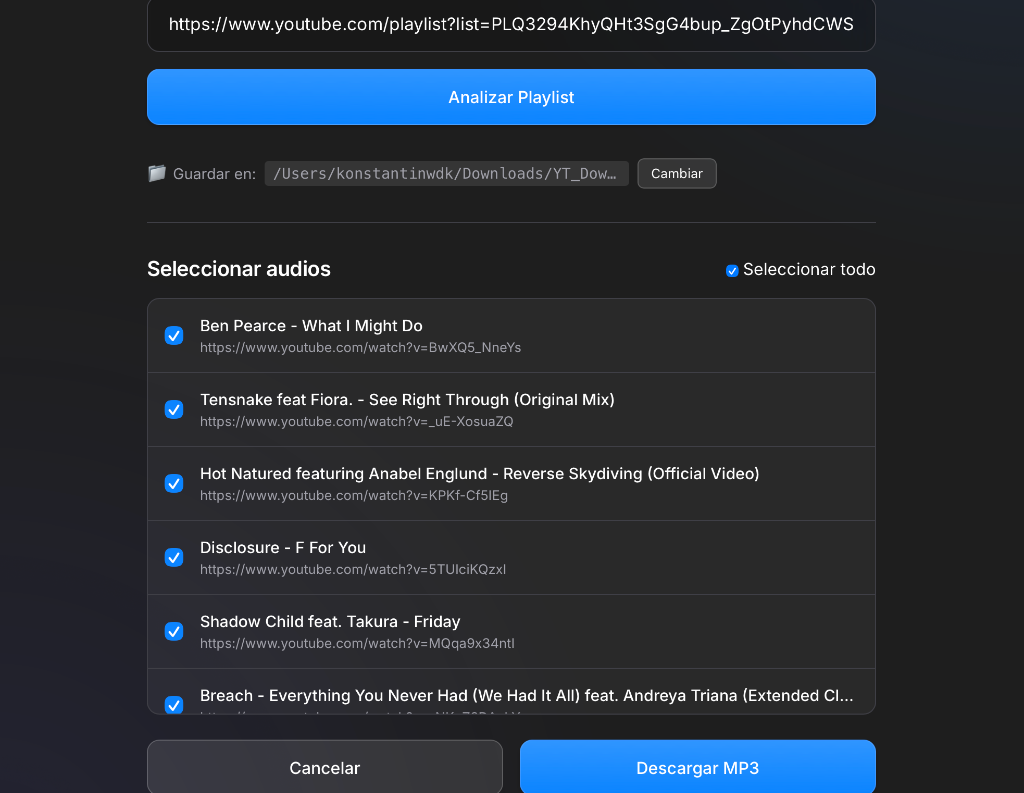Preview de YouTube Playlist Downloader